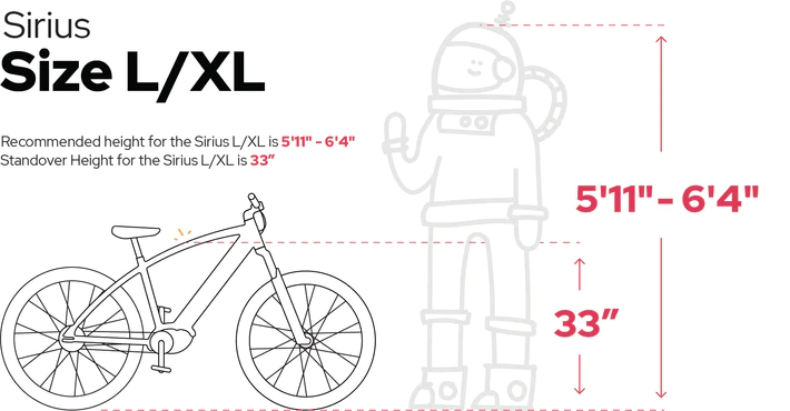 L-XL