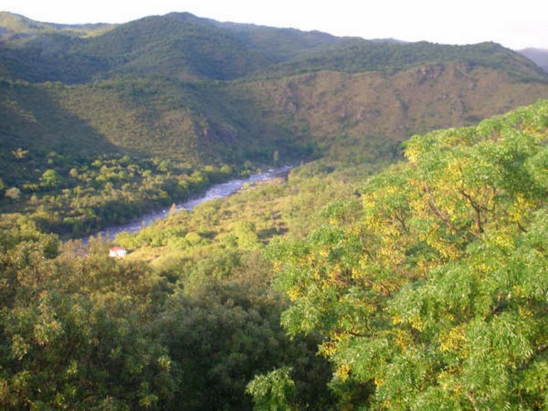 La Paisanita, Campo de 30 Has. sobre Río con Casco, Galpón, casa de Puestero y 3 Cabañas foto 12