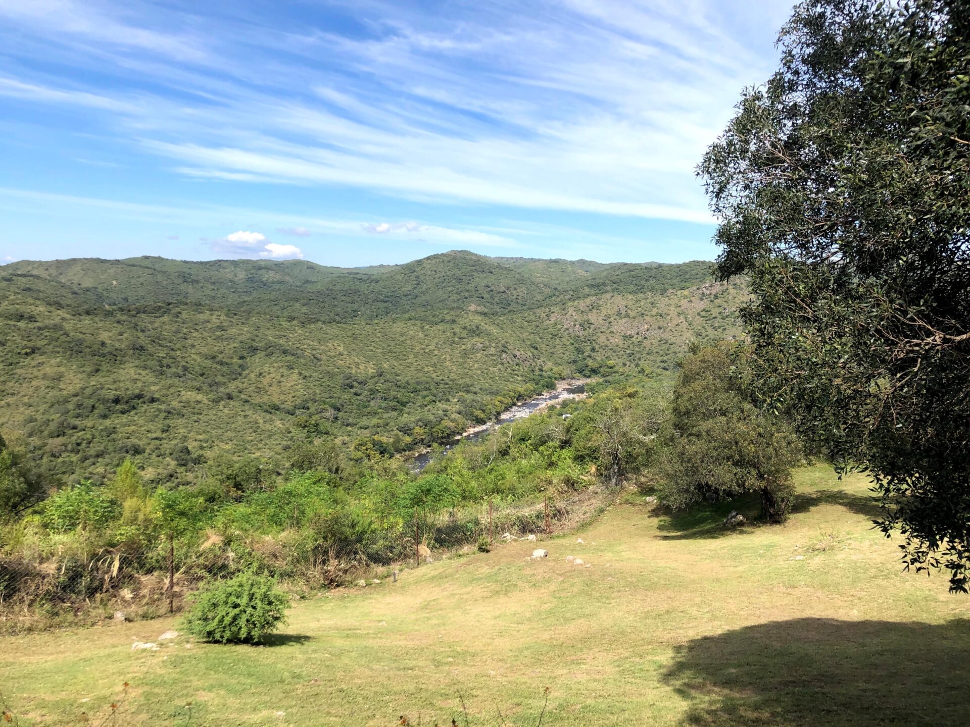 La Paisanita, Campo de 30 Has. sobre Río con Casco, Galpón, casa de Puestero y 3 Cabañas foto 8