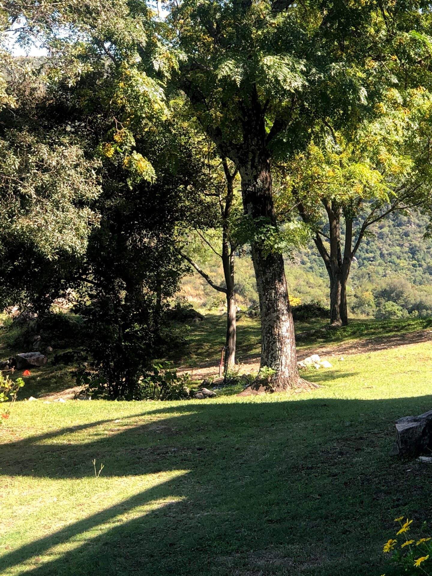 La Paisanita, Campo de 30 Has. sobre Río con Casco, Galpón, casa de Puestero y 3 Cabañas foto 11