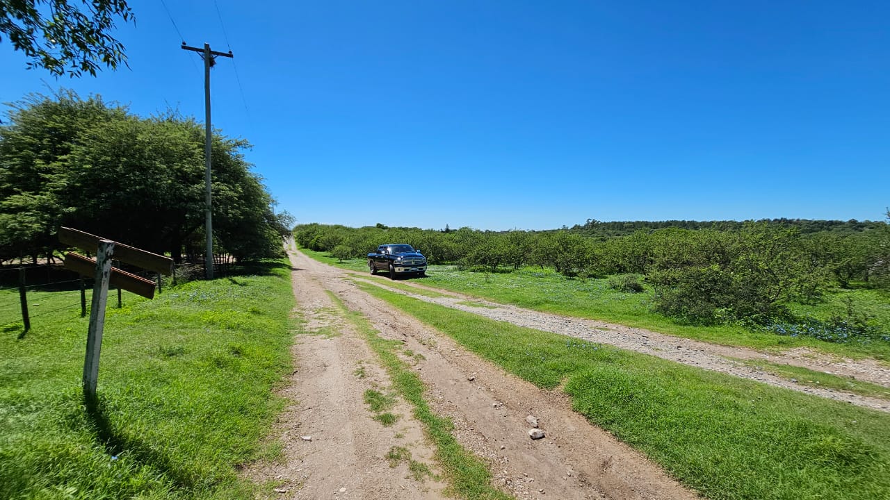 Ruta Provincial E96, Camino a Bosque Alegre foto 12