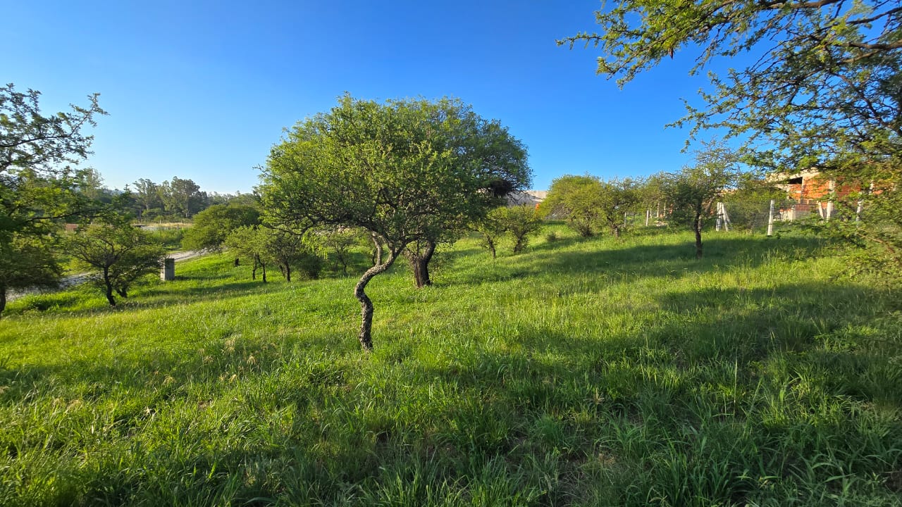 Alta Gracia, Córdoba, Lote de 1.216 m2 en Alta Gracia Country Golf foto 12