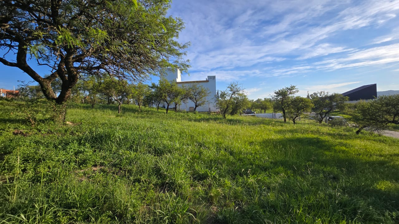 Alta Gracia, Córdoba, Lote de 1.216 m2 en Alta Gracia Country Golf foto 13