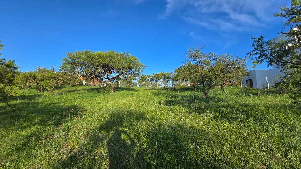 Alta Gracia, Córdoba, Lote de 1.216 m2 en Alta Gracia Country Golf foto 15