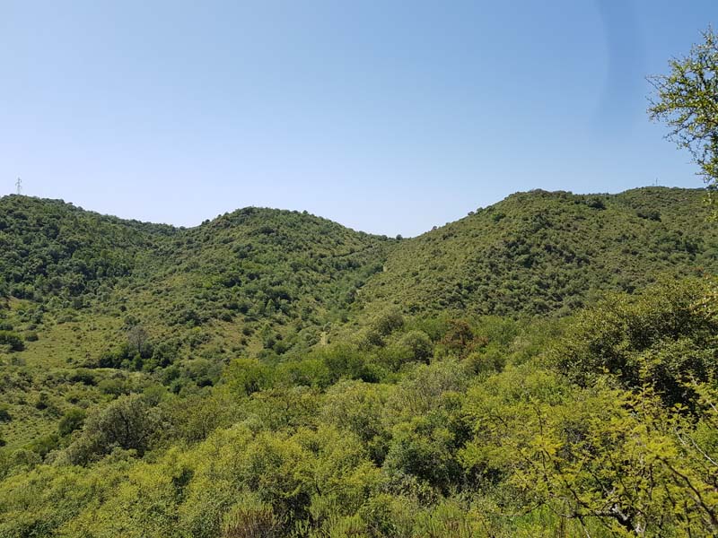 22 Hectáreas sobre Ruta 5 frente al lago Los Molinos foto 8
