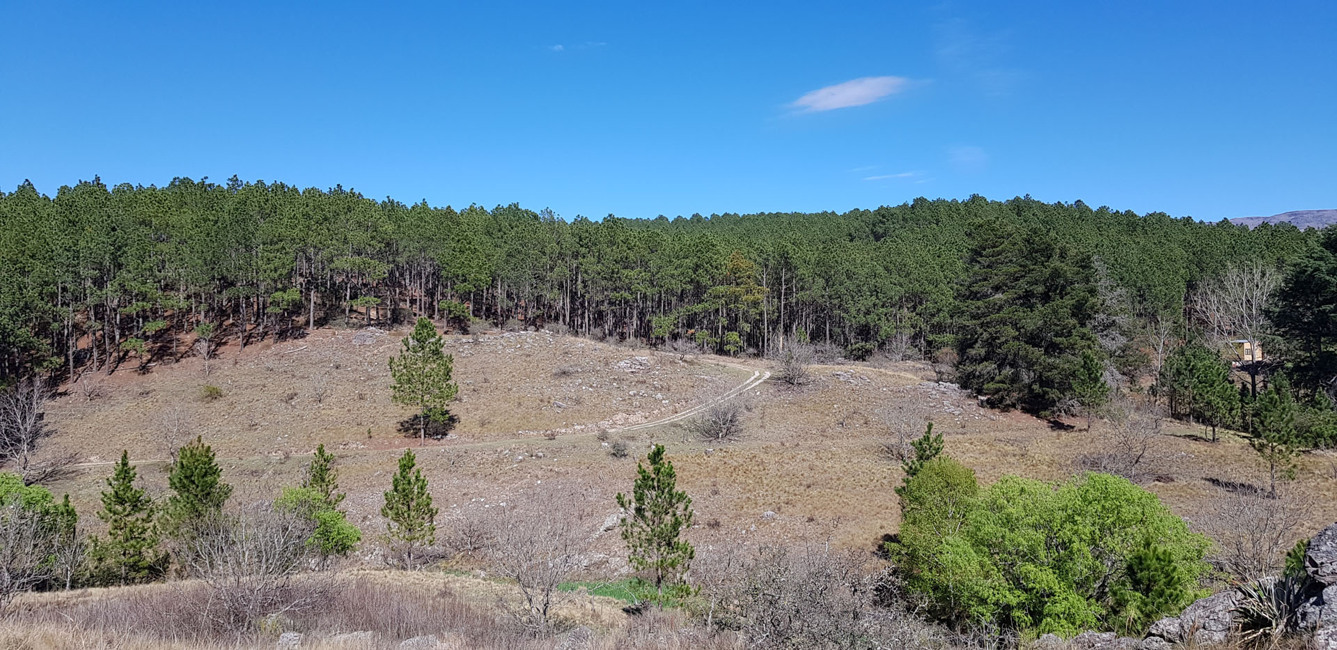Córdoba, San Clemente, Fracciones de 1 Hectárea foto 12