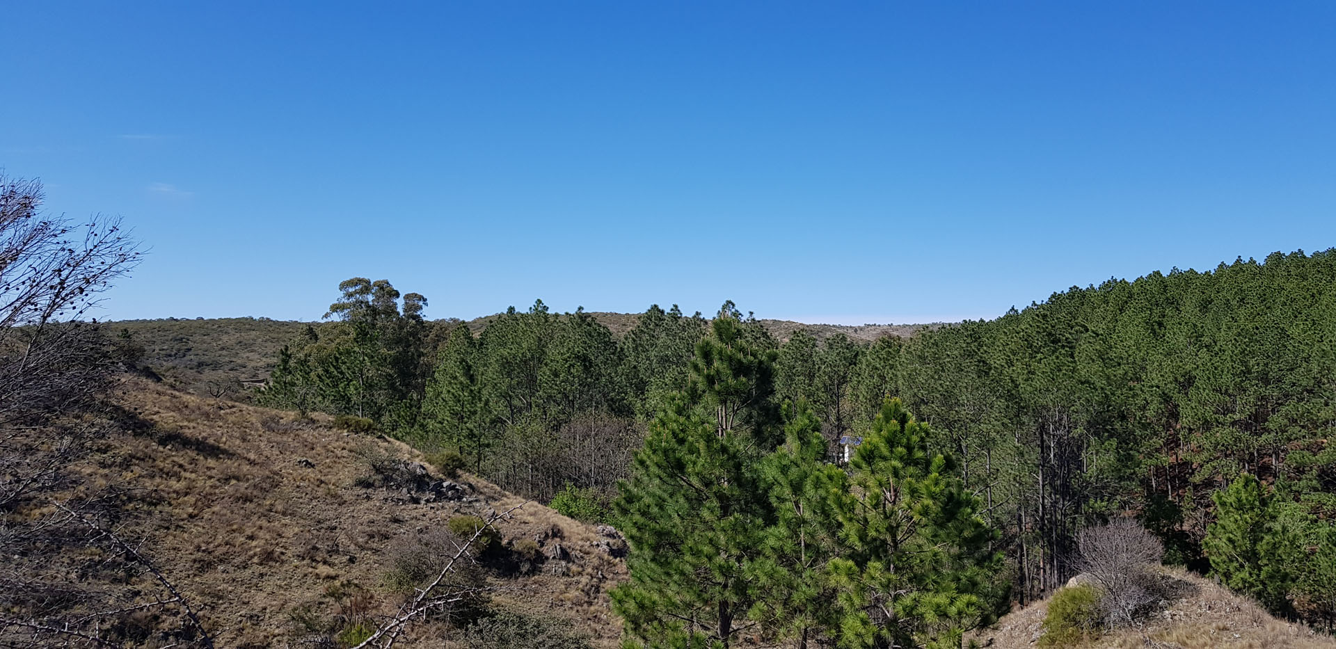 Córdoba, San Clemente, Fracciones de 1 Hectárea foto 13