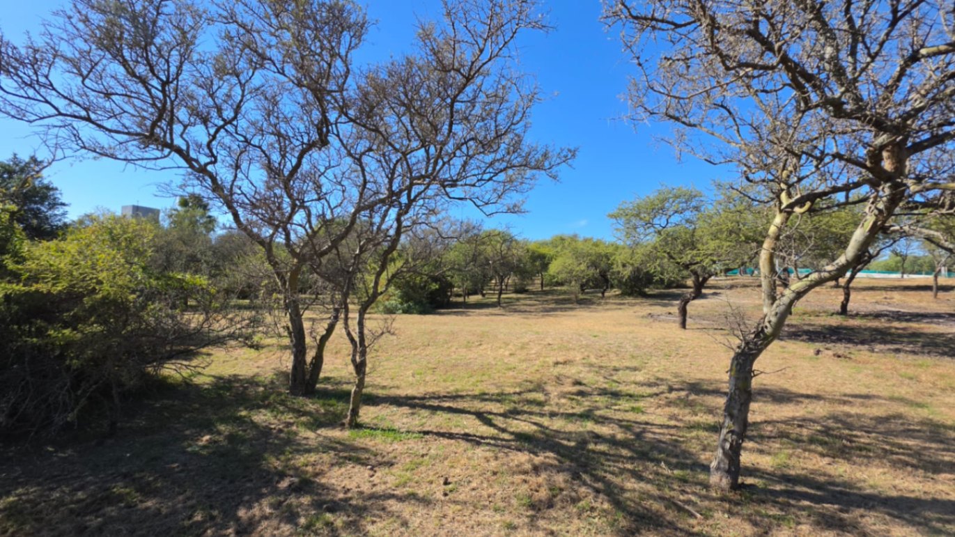Lote 33 Mza 14, La Melinca foto 8