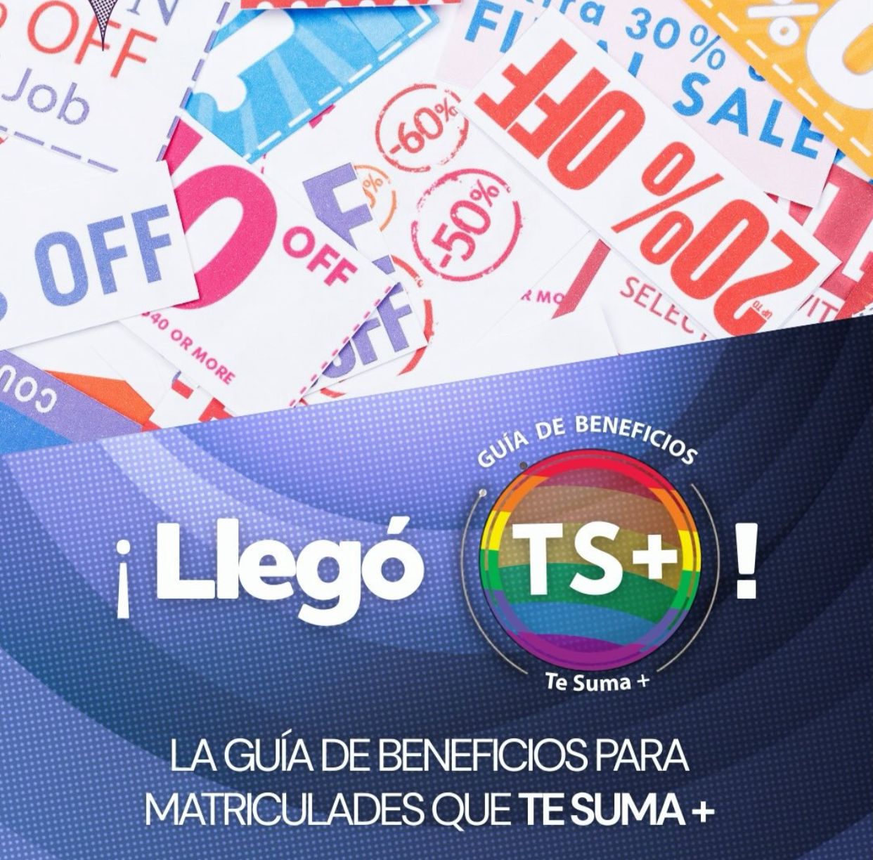 Guía TS+