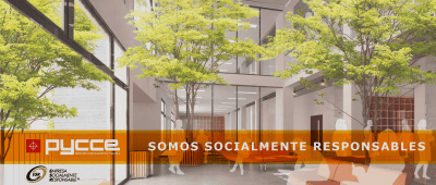 Proyección y Construcción Civil y Eléctrica, S.A. de C.V. background image