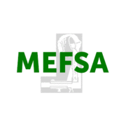 Mefsa Mecânica e Fundiçãosanto Antonio Ltda logo