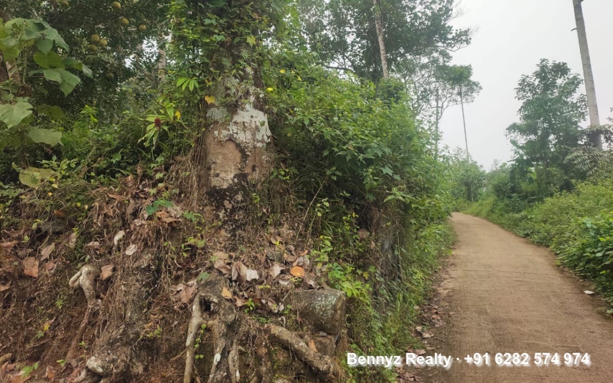 Land for sale by owner in Thottakadu, Kottayam, Kerala