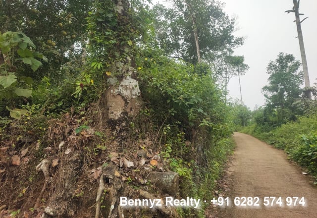 Land for sale by owner in Thottakadu, Kottayam