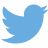 Logo Twitter