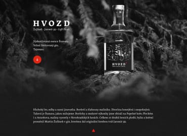 Náhled webu - Hvozd gin 2019