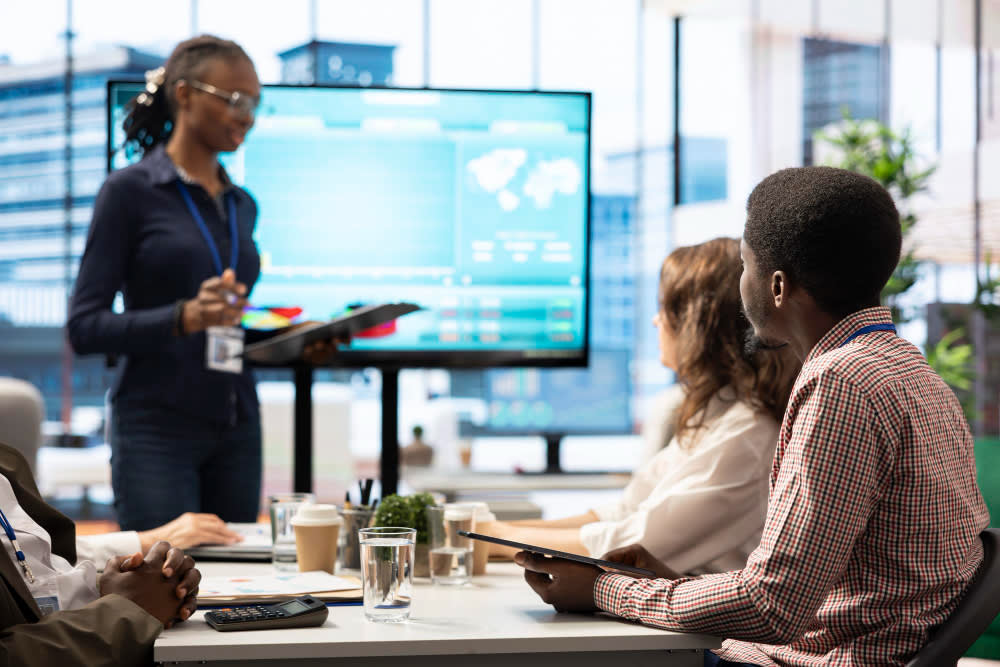 Business Systems Auditing
