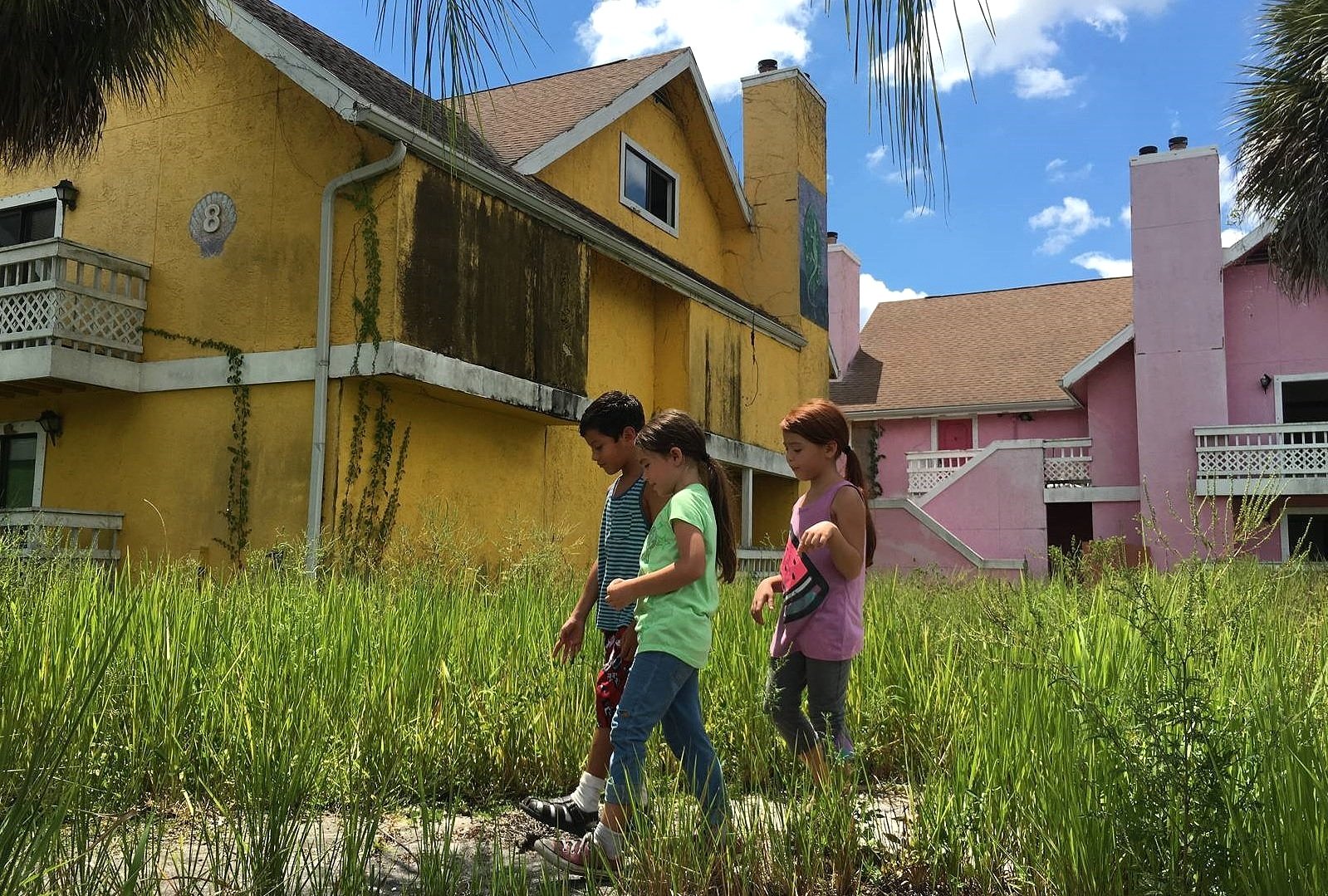 The Florida Project backdrop