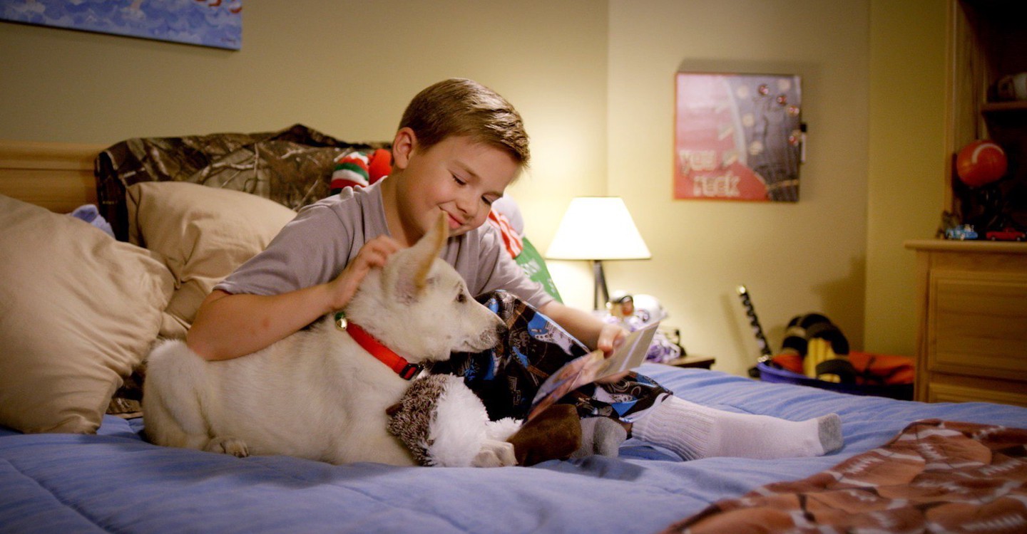 A Belle for Christmas backdrop