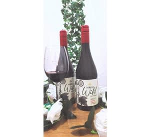 Garrafas de vinho em exposição na loja La Maison du Vin, Rua Riachuelo, Rio de Janeiro
