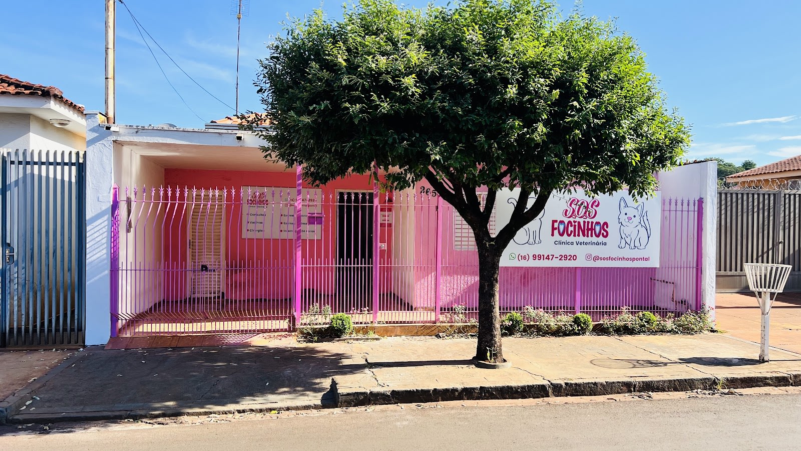 Espaço de atendimento da SOS Focinhos Clínica Veterinária, Centro de Pontal – SP