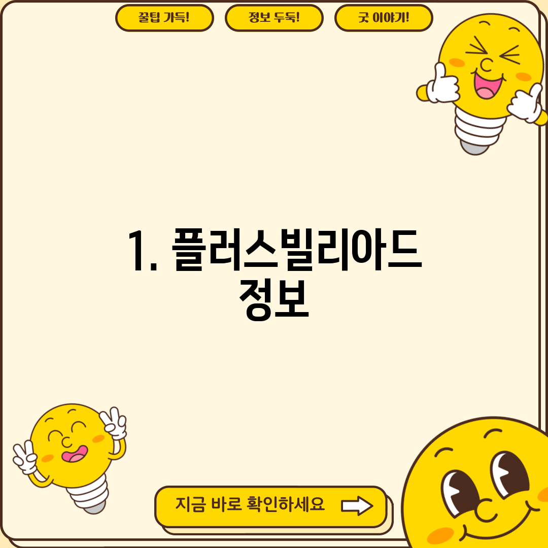 1. 플러스빌리아드 정보