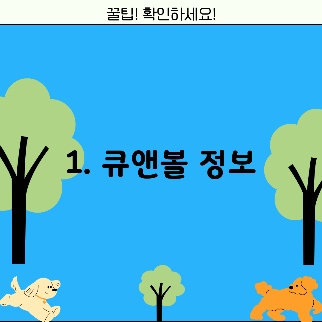 1. 큐앤볼 정보