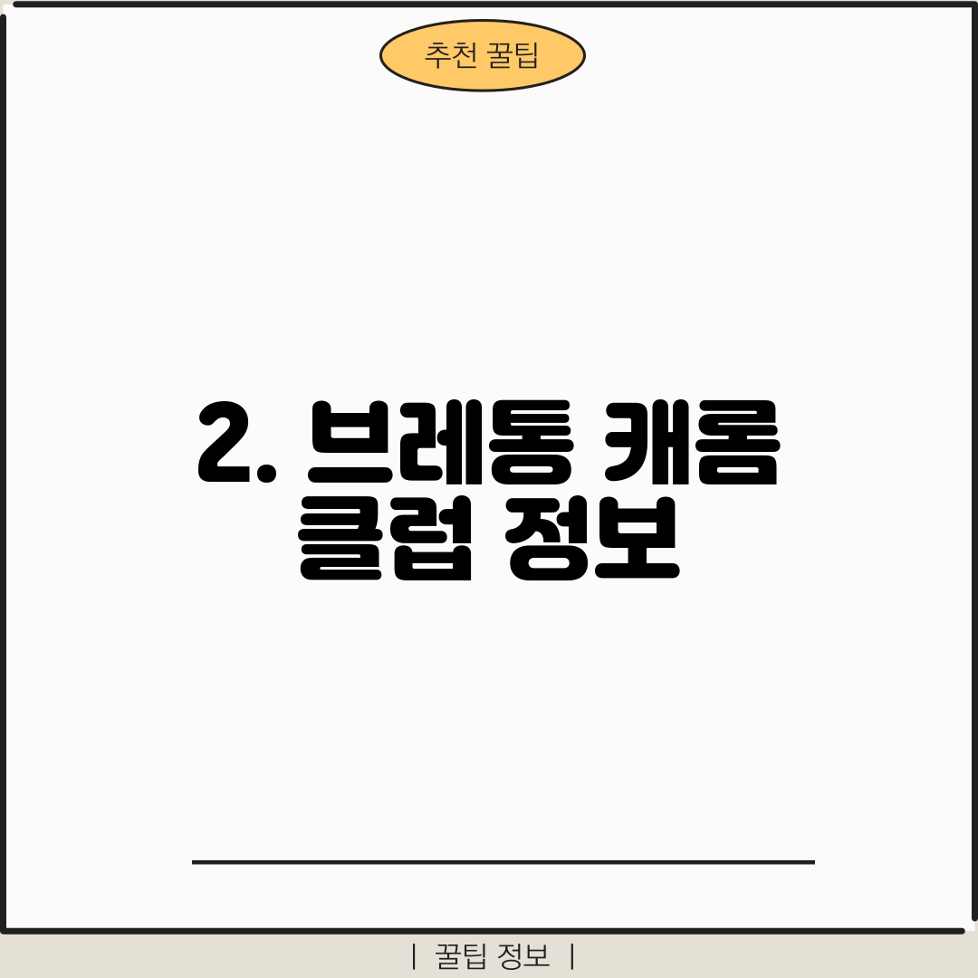 2. 브레통 캐롬 클럽 정보