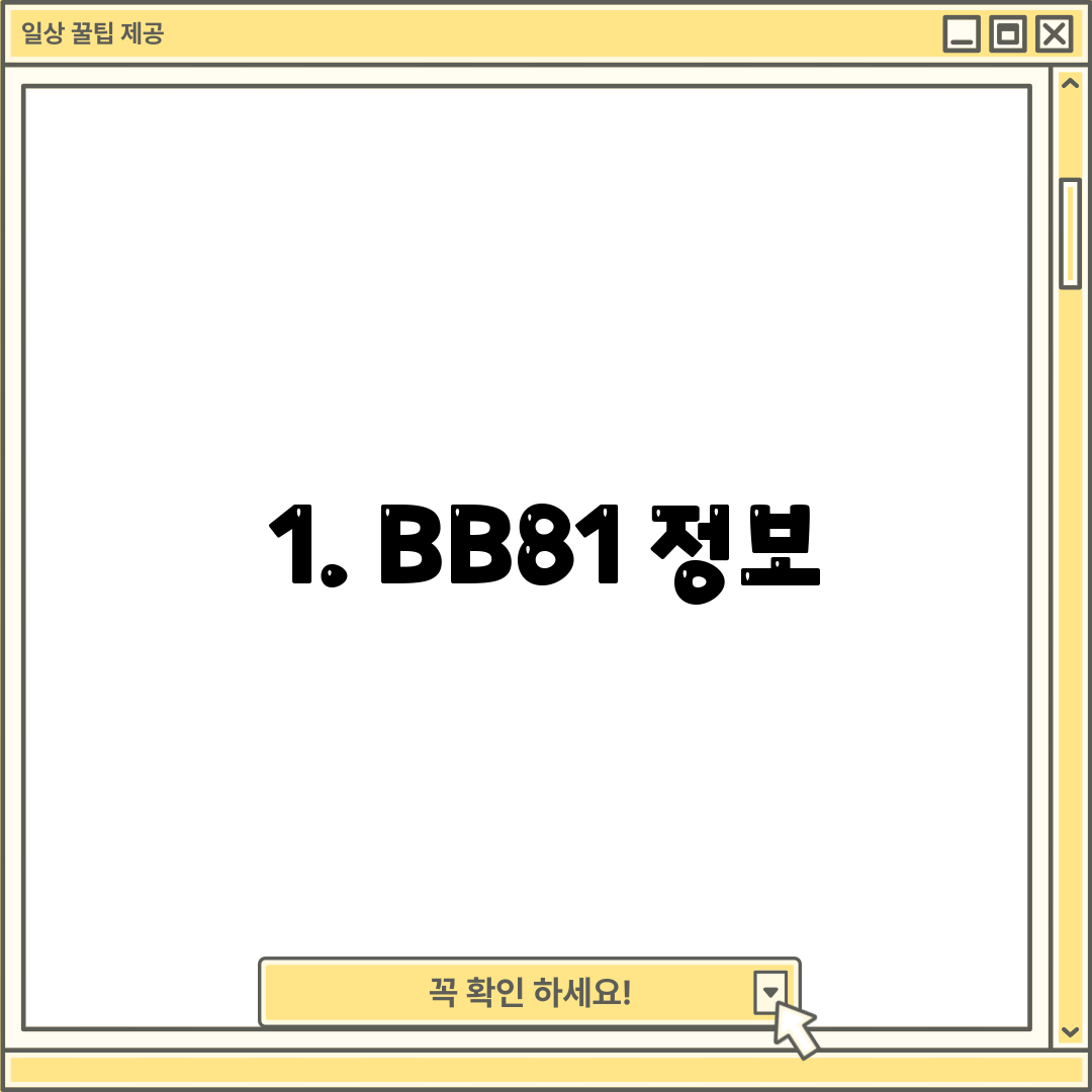 1. BB81 정보