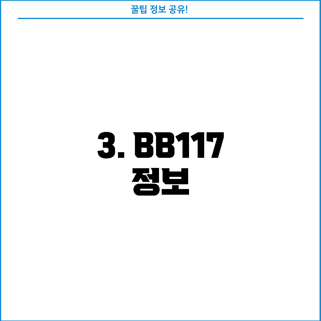 3. BB117 정보