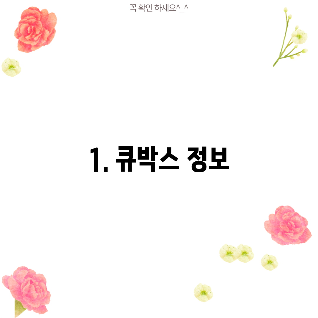 1. 큐박스 정보