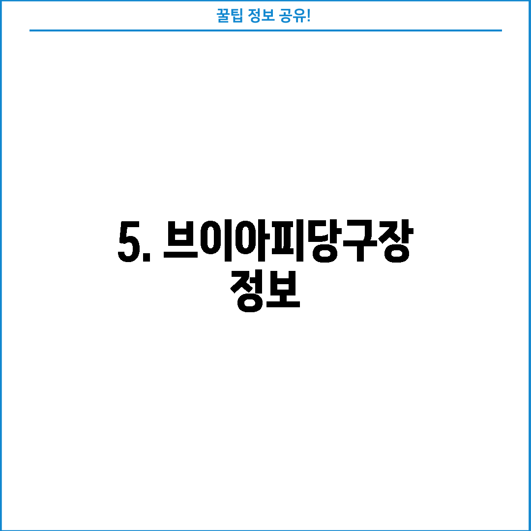 5. 브이아피당구장 정보