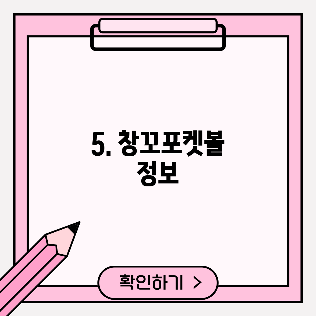 5. 창꼬포켓볼 정보