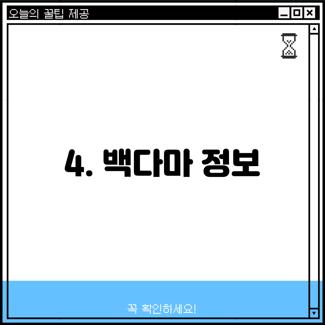 4. 백다마 정보