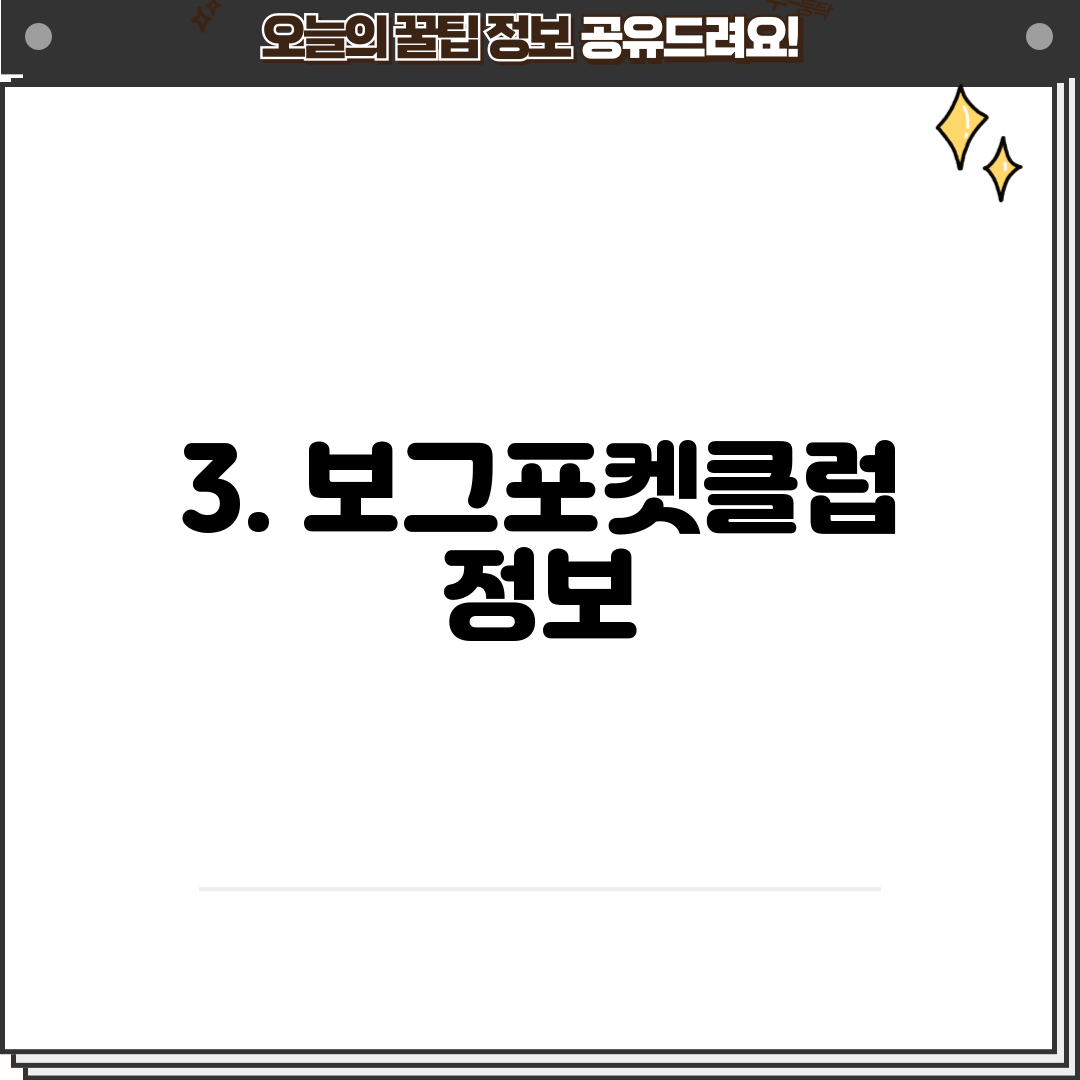 3. 보그포켓클럽 정보