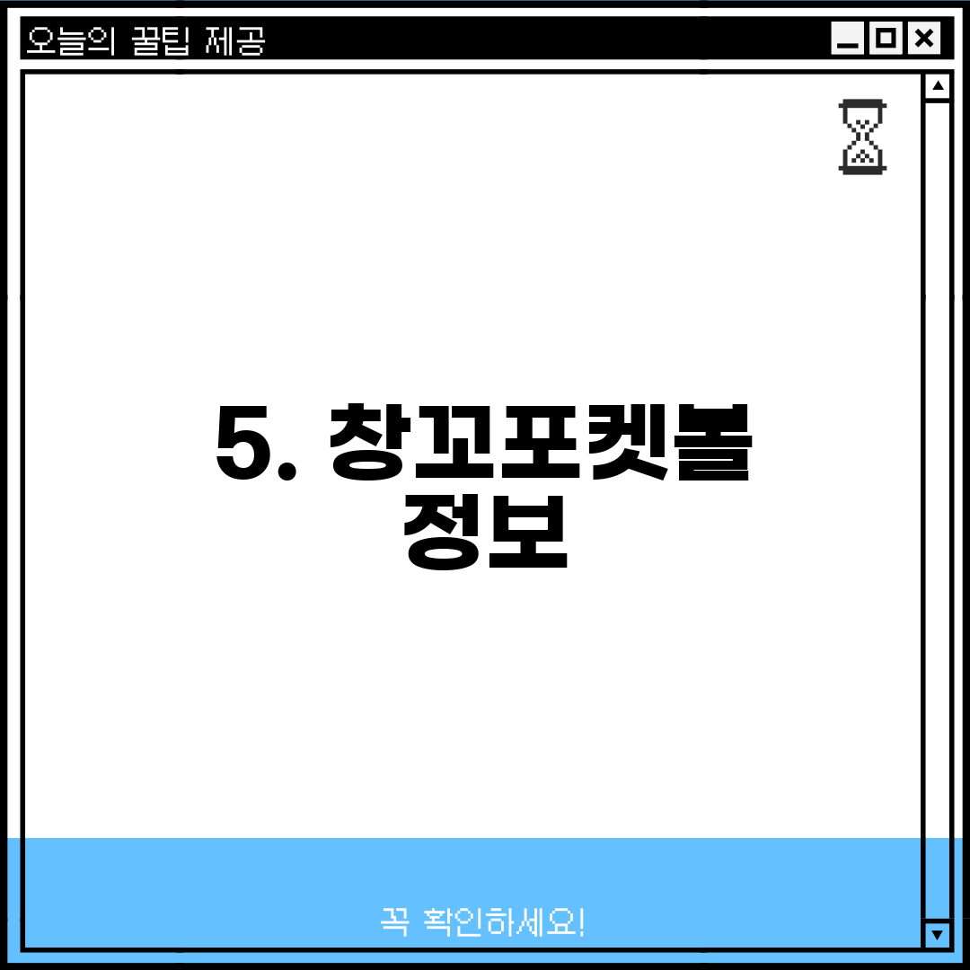 5. 창꼬포켓볼 정보