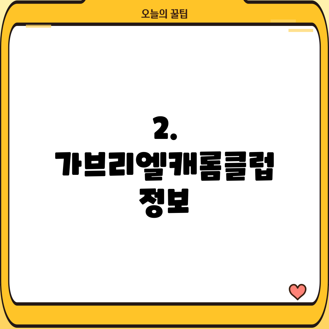 2. 가브리엘캐롬클럽 정보