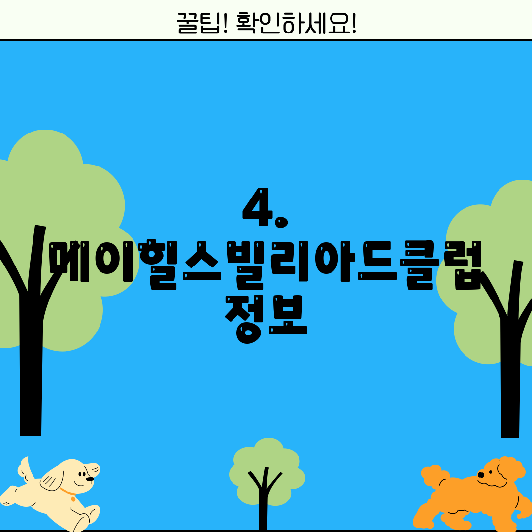 4. 메이힐스빌리아드클럽 정보