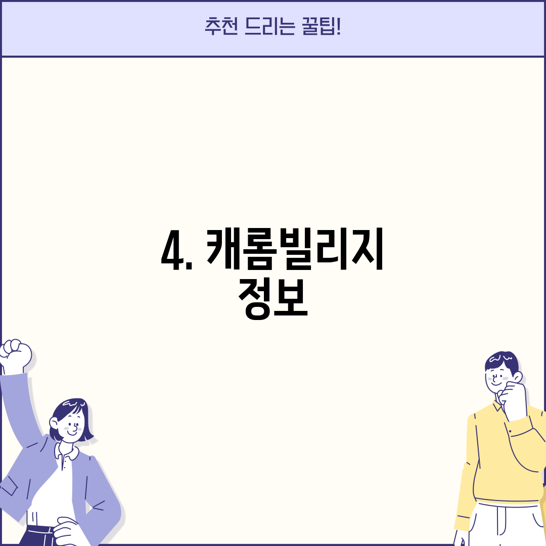 4. 캐롬빌리지 정보