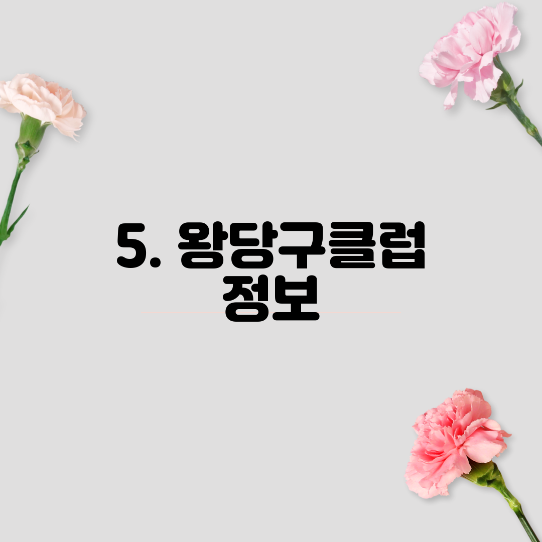 5. 왕당구클럽 정보