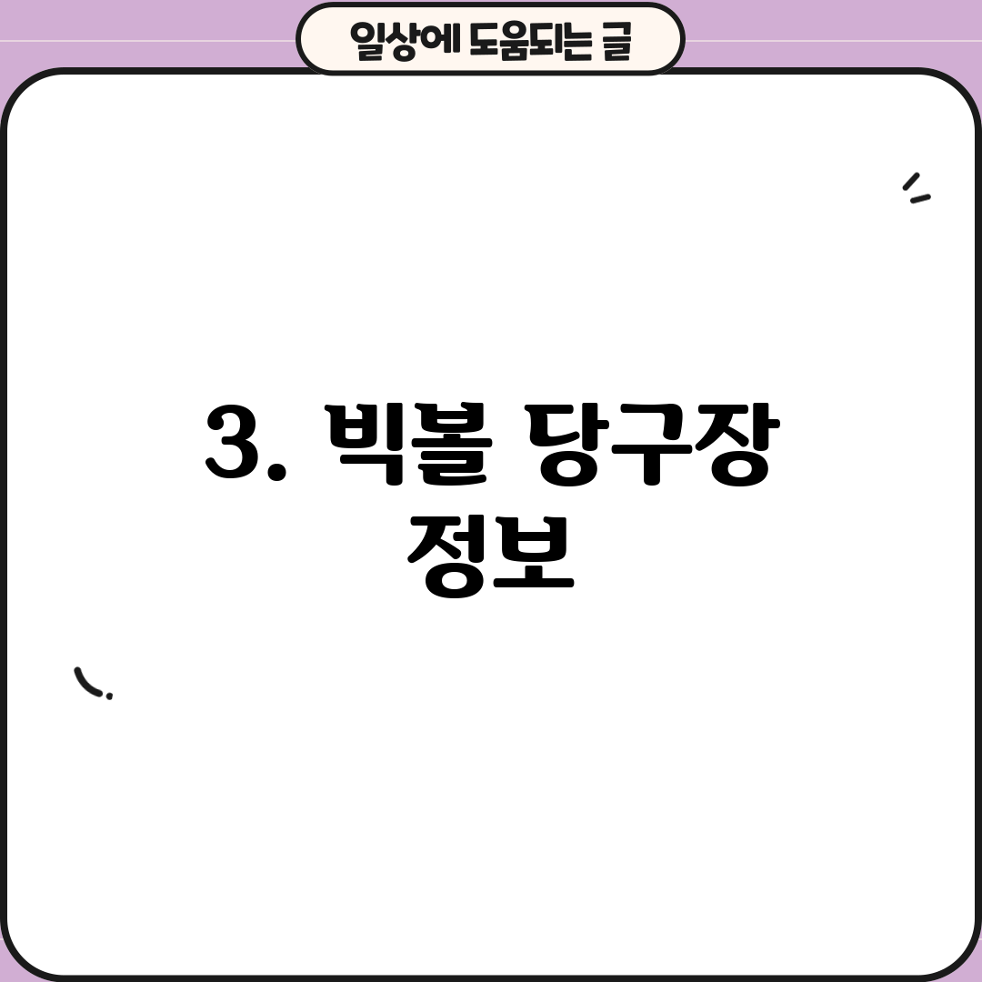 3. 빅볼 당구장 정보