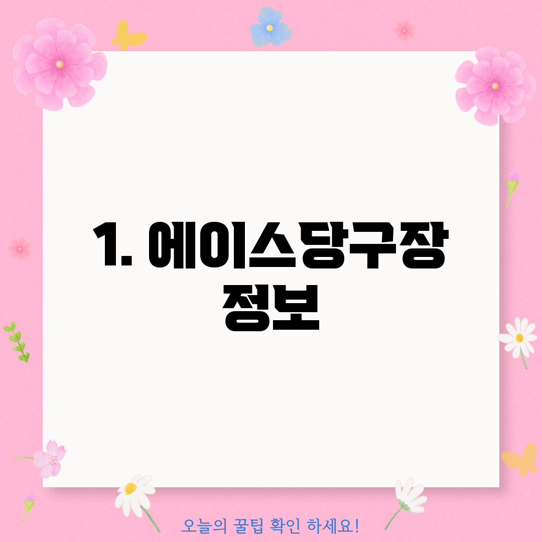 1. 에이스당구장 정보
