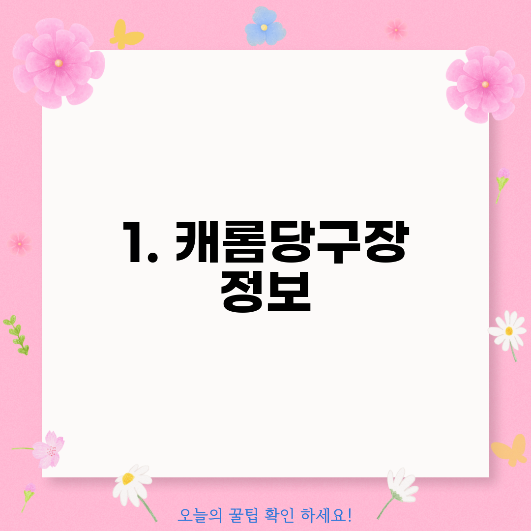 1. 캐롬당구장 정보