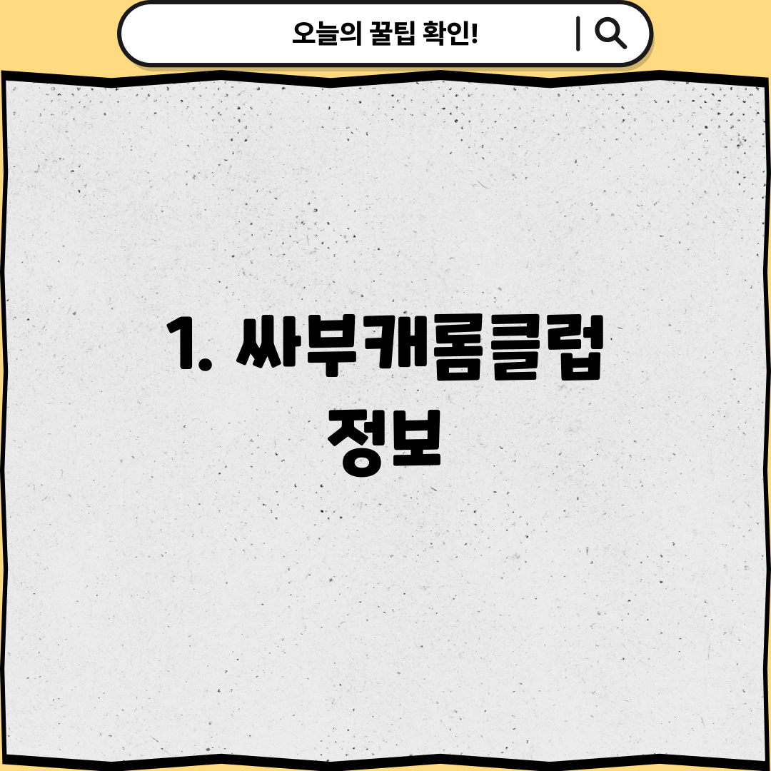 1. 싸부캐롬클럽 정보