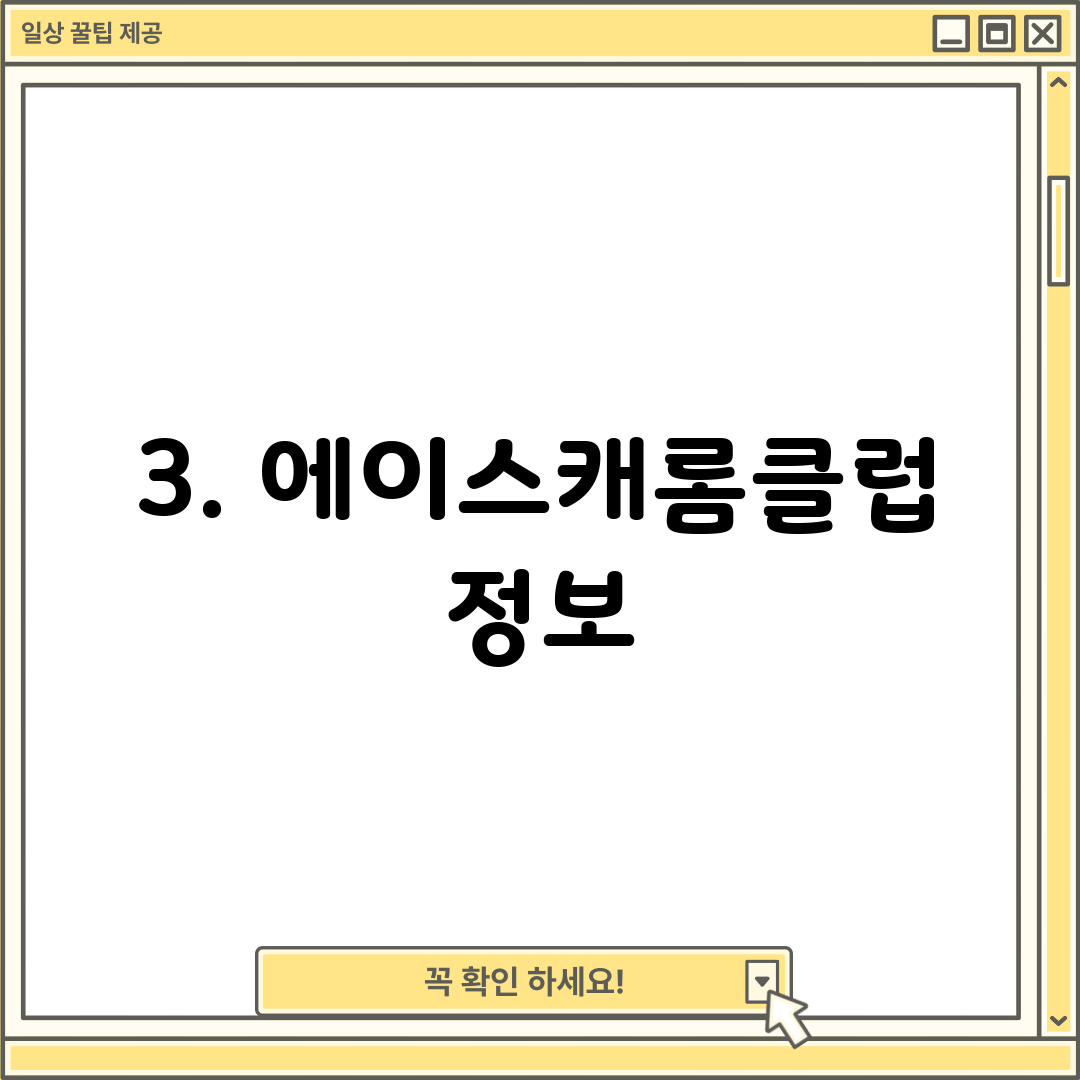 3. 에이스캐롬클럽 정보