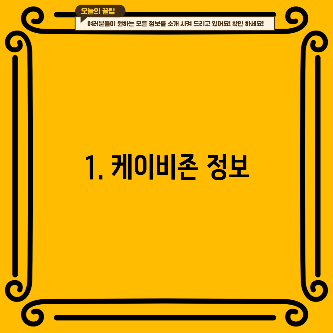 1. 케이비존 정보
