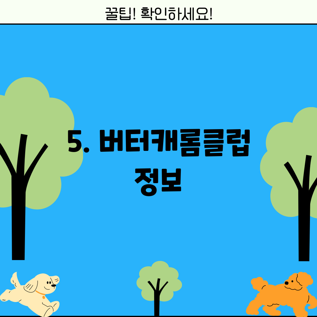5. 버터캐롬클럽 정보