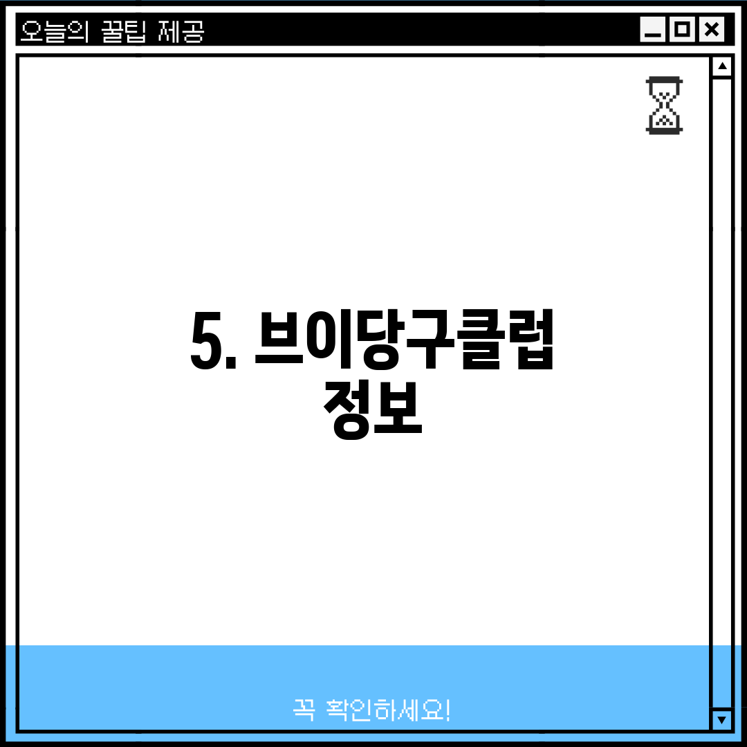 5. 브이당구클럽 정보