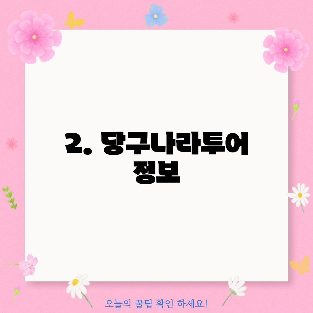 2. 당구나라투어 정보
