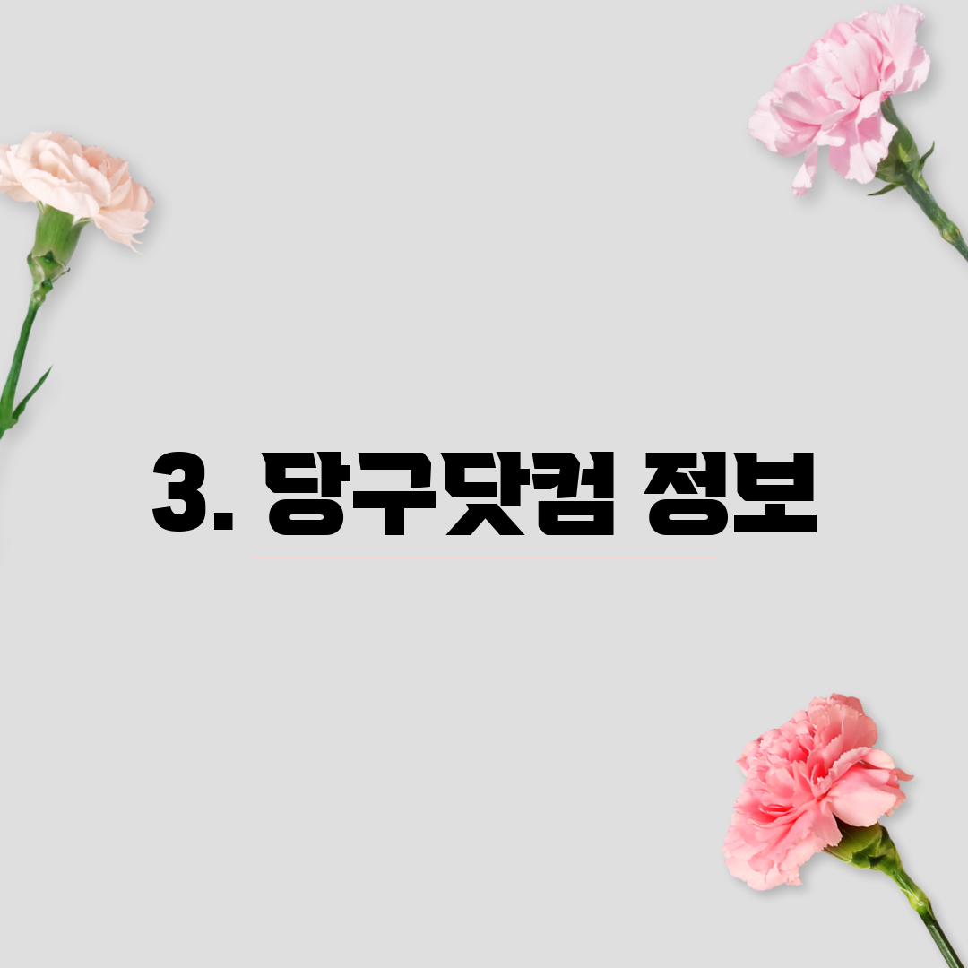 3. 당구닷컴 정보