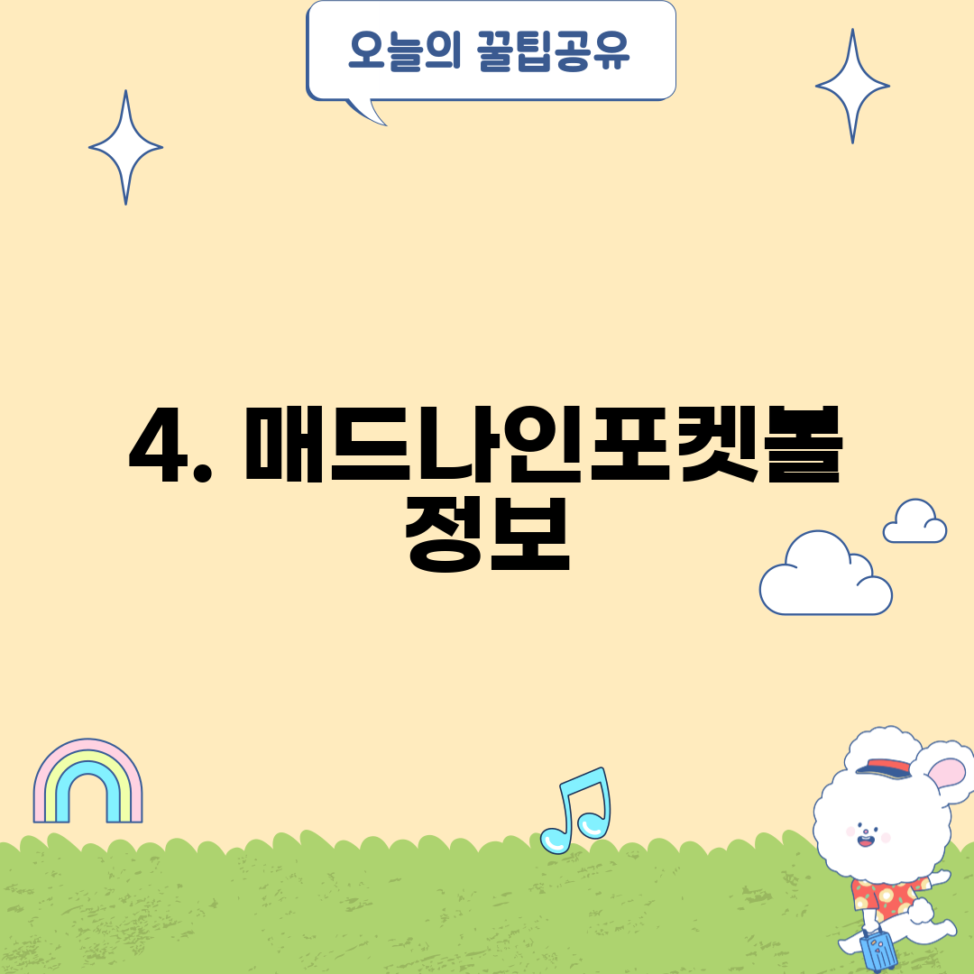 4. 매드나인포켓볼 정보